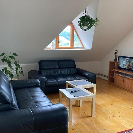 Apartman Pod Laznema Jeseník Exterior foto